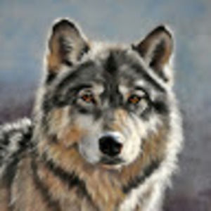 Meet your Posher, Gray